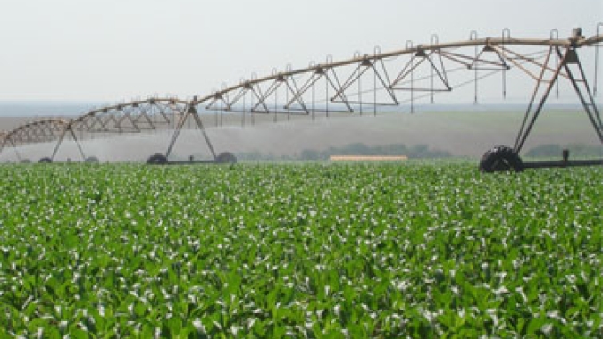 Irrigação muda a conta do hectare e abre espaço para novas safras no Triângulo Mineiro