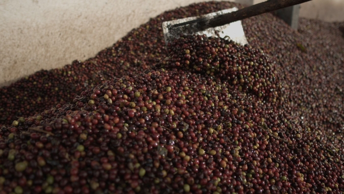 Espírito Santo embarca volume recorde de café em agosto.