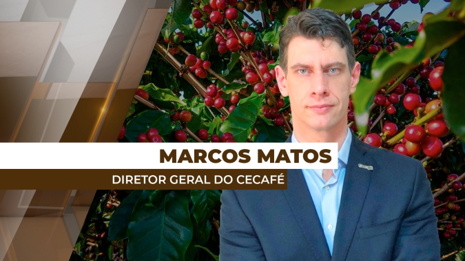 Brasil bate novo recorde com 46, 4 milhões de sacas de café exportadas em novembro