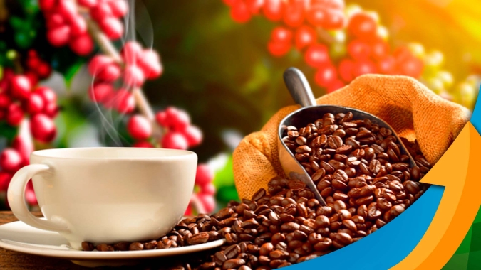 Café começa mais uma semana pressionado pelas chuvas, leve recuperação nos estoques certificados e de olho na exportação do Brasil