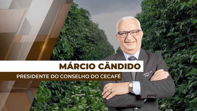 Recorde de exportação de café do Brasil em 2024 movimenta os preços nas bolsas internacionais no fechamento da sessão desta 5ª feira (16)