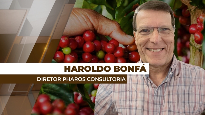 Movimentação do dólar e especulações sobre a safra 2025 trouxeram um cenário atípico ao mercado do café nesta 5ª feira  (19)