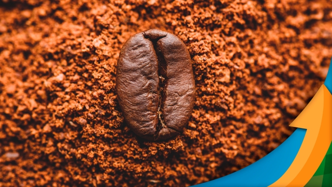 Aprovação de novas regras de importação ganha ritmo, mas Conselho Europeu ainda precisa oficilizar: Entenda os riscos para o mercado de café