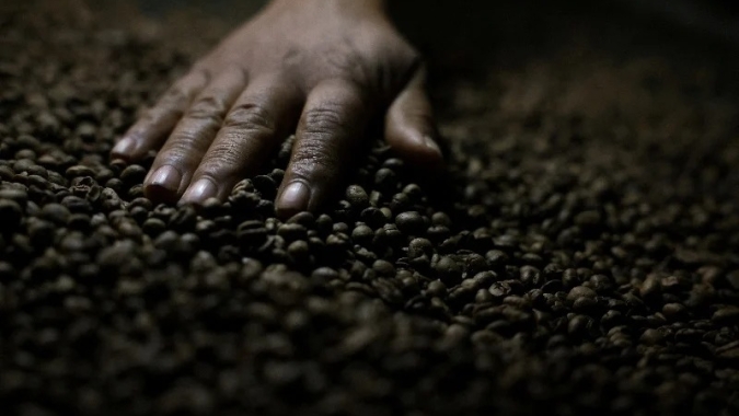 Grandes entregas de café devem elevar estoques nas bolsas e pressionar preços