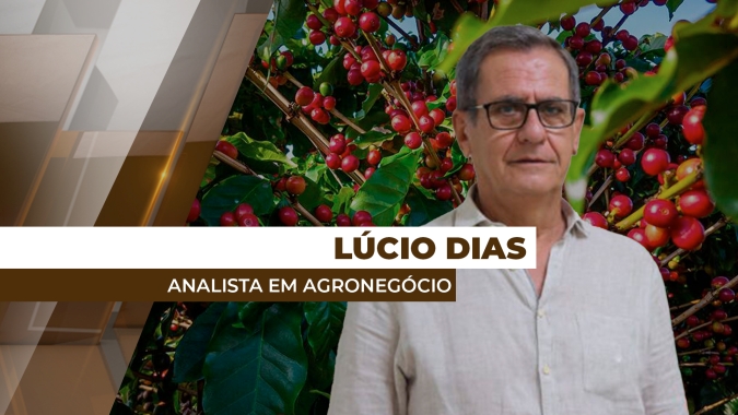 Mercado do café deve apresentar déficit de oferta nos primeiros meses de 2025