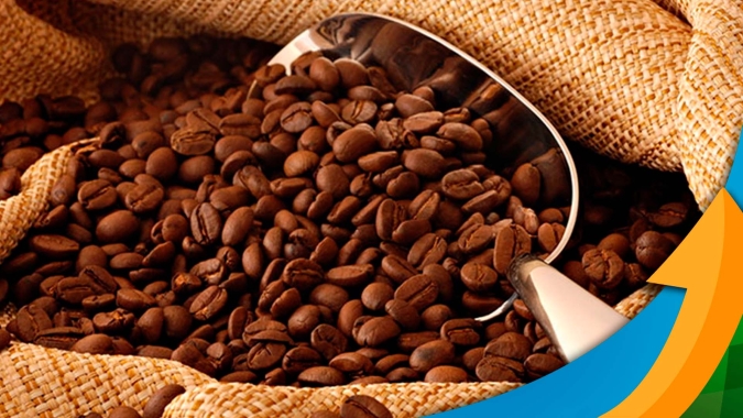 Com pelo menos 10 mil hectares a menos destinados para o café, Cerrado Mineiro caminha para recuperação em 2023