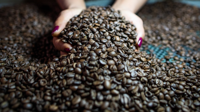 Cooxupé bate recordes bilionários, exportações avançam e tecnologia chega ao campo: o que muda na prática para o produtor de café