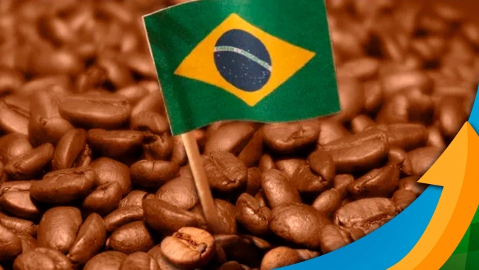 Sustentabilidade de ponta a ponta na cafeicultura: Principal fórum brasileiro, com foco no mercado internacional, vai compensar emissão de GEE