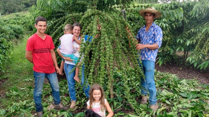 Manejo e adubação refletem em maior produção de café para agricultores de Cotriguaçu