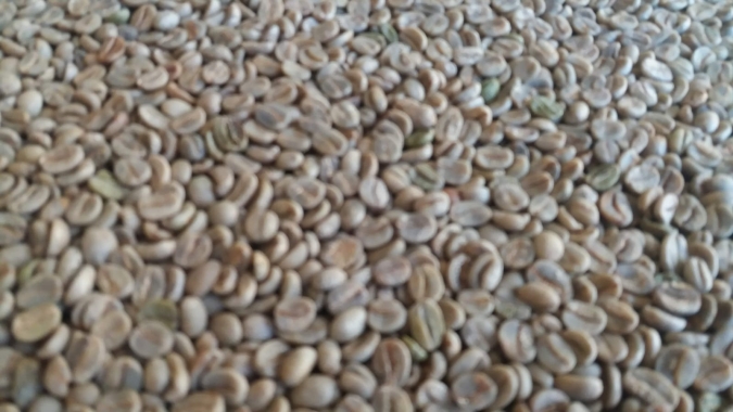Espírito Santo exportou 749.967 sacas de café no mês de agosto