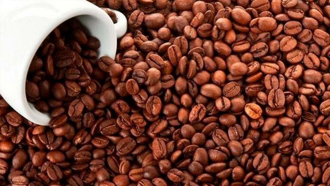 Com aumento da oferta e dúvidas sobre a demanda, preços do café fecham com fortes quedas nesta 4ª feira em NY