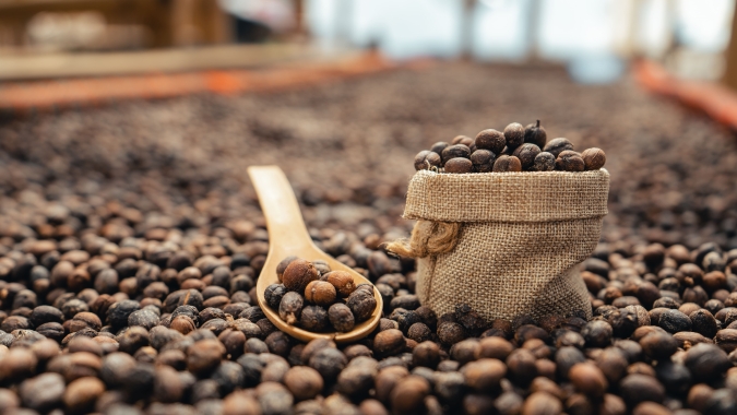 Feira do Cerrado receberá 4 mil cafeicultores em busca de inovação e geração de negócios