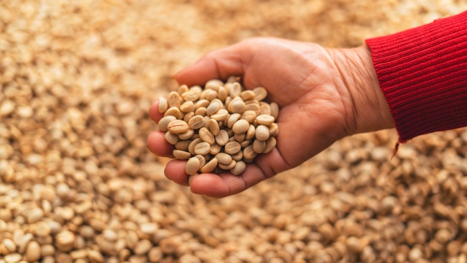 Café: Arábica começa semana com baixas e mercado monitora clima nas origens