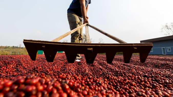 Café: NY monitora chuvas no Brasil e tem baixas técnicas; Londres avança com problemas na Ásia