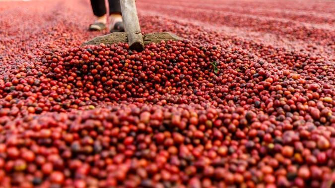 Café: Mercado futuro encerra a sessão desta 6ª com valorizações  na Bolsa de Nova York