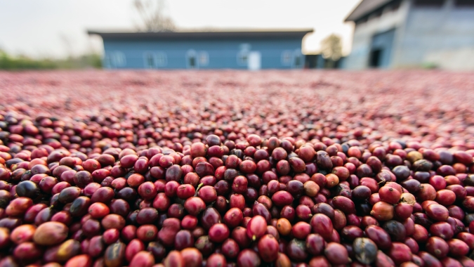 Café abre em campo misto nas bolsas com arábica oscilando em Nova York e robusta variando em Londres