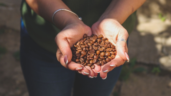 Mercado de café no Brasil seguiu lento em novembro apesar de preços recordes, diz Cepea