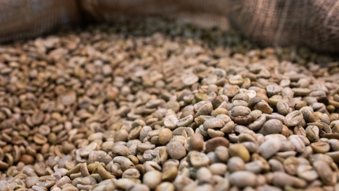 Expocacer registra aumento de 41% nas exportações diretas de café em 2024