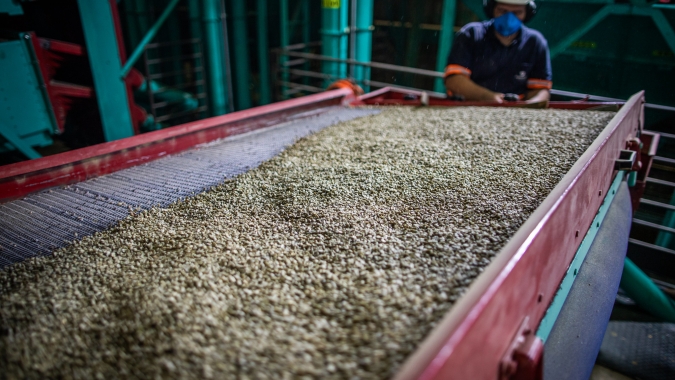 Café opera sem direção única e mercado trava com pressão da safra brasileira e oferta global maior