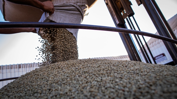Café fecha 1º de abril com robusta em alta e arábica pressionado por projeções de safra maior no Brasil