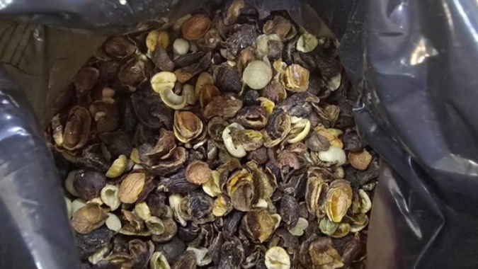 Operação conjunta apreende mais de 82 mil quilos de produtos irregulares relacionados à produção de café torrado