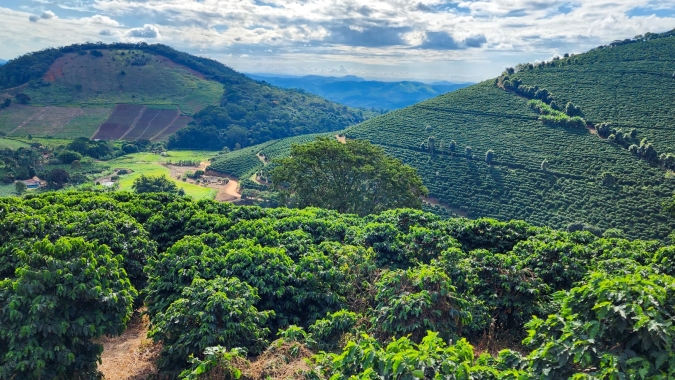 Exportações do agro mineiro atingem US$ 6,6 bilhões de janeiro a maio