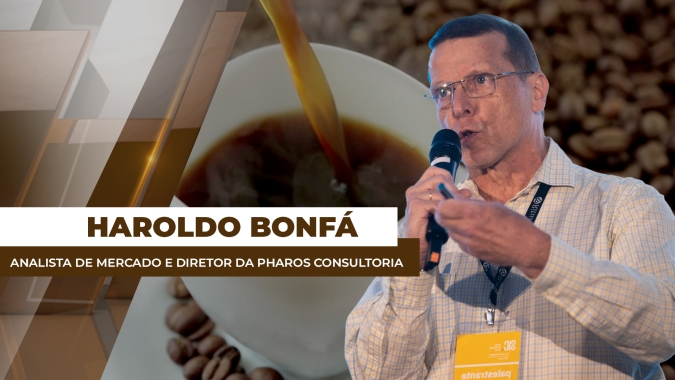 Entrada da safra/26 brasileira no mercado deve ocasionar novo movimento de queda