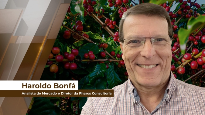 Mesmo com fundamentos baixistas, mercado cafeeiro mantém tendência de alta nas cotações futuras