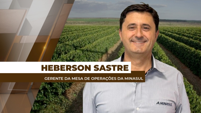 Colheita avançada e clima favorável no Brasil ocasionam forte pressão sobre os preços futuros do café