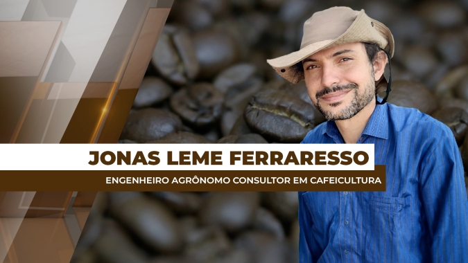Quebra do rendimento da safra/25 do café arábica é maior que o esperado