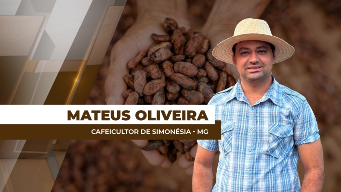 Baixo pegamento das floradas do café vem ocasionando podas tardias na região da Zona da Mata de MG