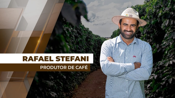 Colheita de café na Alta Mogiana segue lenta, com produtores aguardando melhor maturação do grão