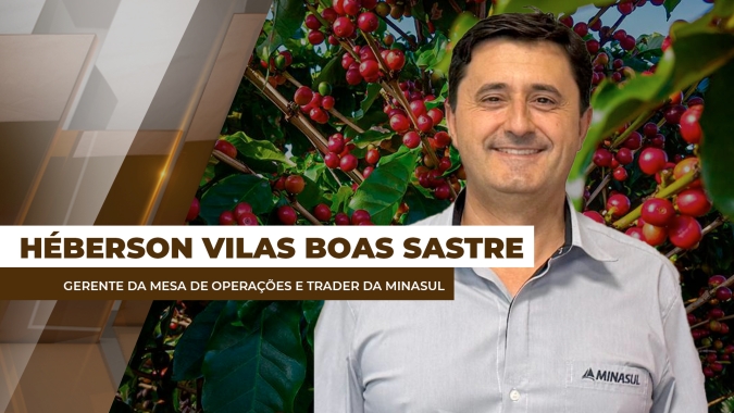 Rendimento da safra/25 de café no Sul de MG apresenta queda de até 12%