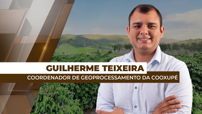 Chuva atrasa colheita de café e manejo chega a quase 18% das áreas de atuação da Cooxupé