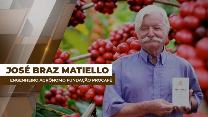 Após floradas, lavouras de café estão vivendo um período crítico para enchimento dos grãos