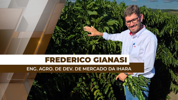 Boas práticas agrícolas asseguram frutos de qualidade e alta produtividade do café