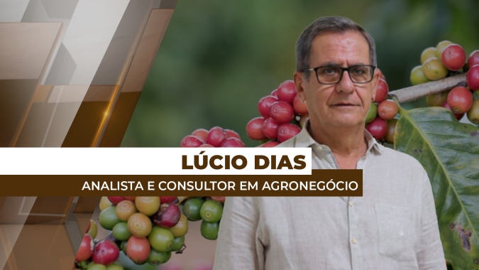 Colheita da safra/25 de café no Brasil está bem avançada, mas produtividade ainda é incógnita