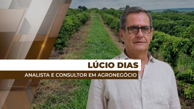 Entrada da safra brasileira de café 2025 deve trazer certo equilíbrio aos preços em nível de real