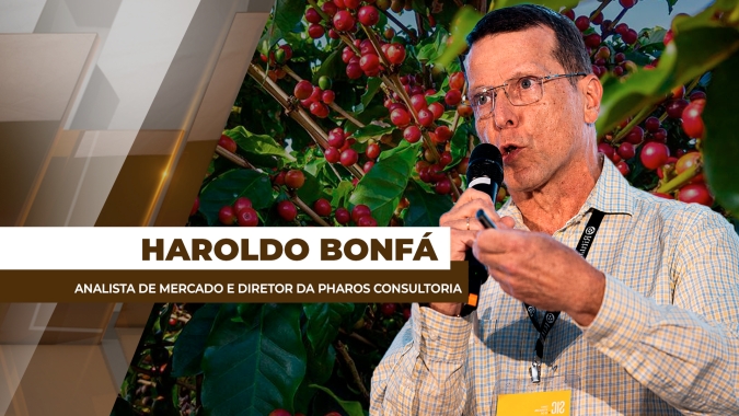 Mercado do café enfrenta disputa entre avanço da Safra brasileira e pressão nas bolsas internacionais