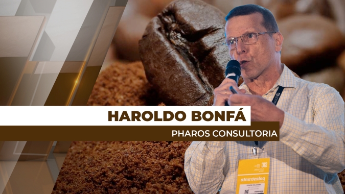 Entrada da nova safra de café deve pressionar o mercado para uma redução dos preços futuros
