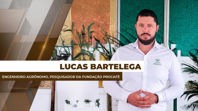 Safra de café brasileira de 2026 virá de várias floradas, aponta agrônomo