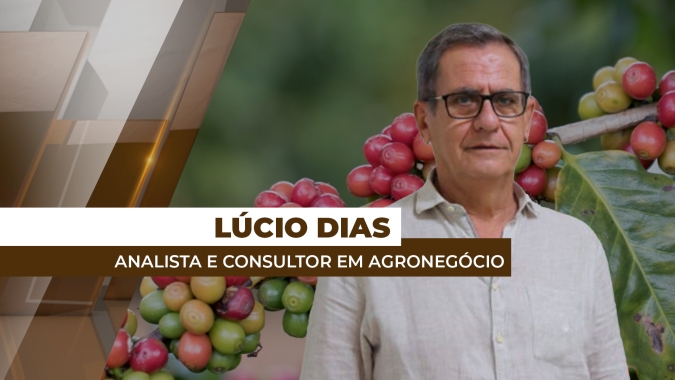 Safras de café arábica de demais países produtores devem suprir déficit brasileiro da variedade