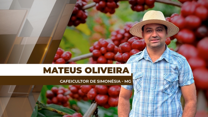 Safra/25 terá que ter 30% mais grãos para encher uma saca de café beneficiada na Zona da Mata