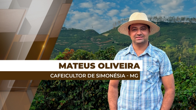 Clima adverso vem comprometendo volume e qualidade das safras de café da Zona da Mata Mineira desde 2020