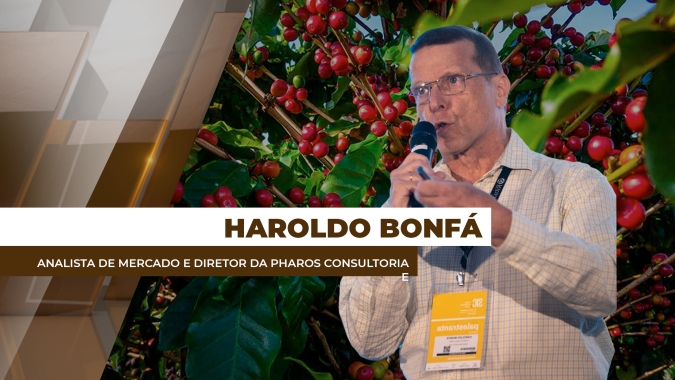 Mercado de café enfrenta desafios com tarifas dos EUA e incertezas climáticas para próxima safra