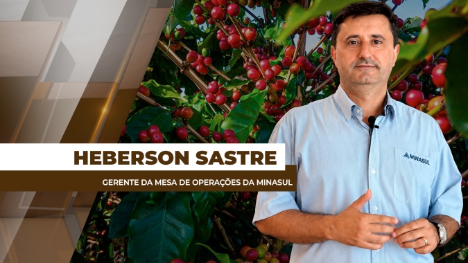 Safra mineira avança e mercado do café segue em alerta