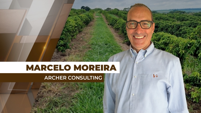 Colheita do café avança no Brasil, mas clima seco preocupa e mercado segue atento na produtividade