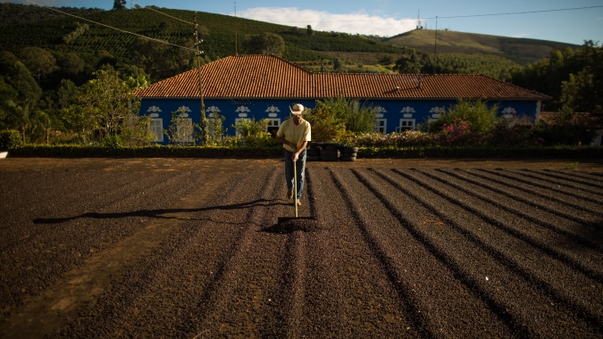 Café começa o dia com arábica pressionado e robusta em alta, com mercado dividido