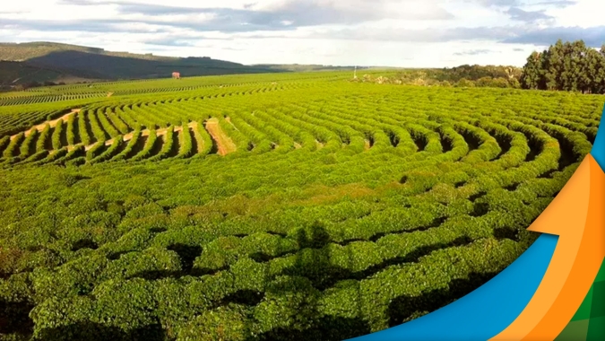 Alerta de temporais em MG aumenta a tensão entre produtores de café, leite, hortifruti e toda infraestrutura no estado, após prejuízos com as últimas chuvas