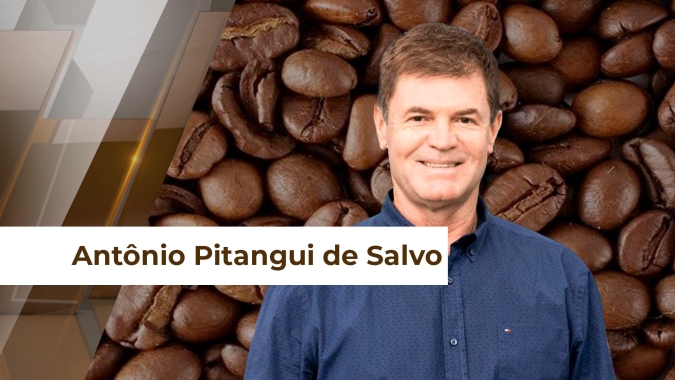 Chuvas regulares trazem expectativa de uma boa safra de café em Minas Gerais, diz presidente da Faemg